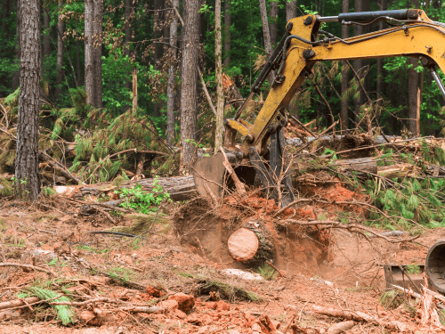 Waverly Land Clearing