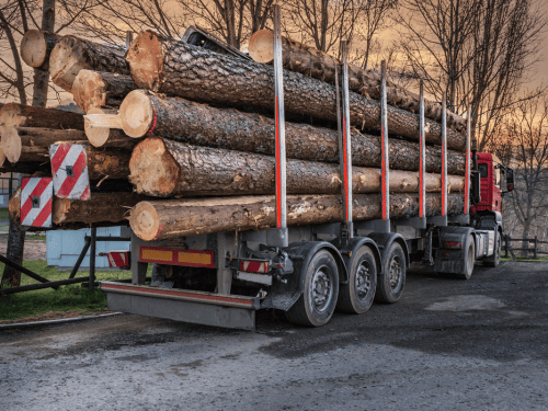 Hallam Land Clearing