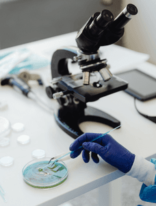 Moisture Assessment & Detection