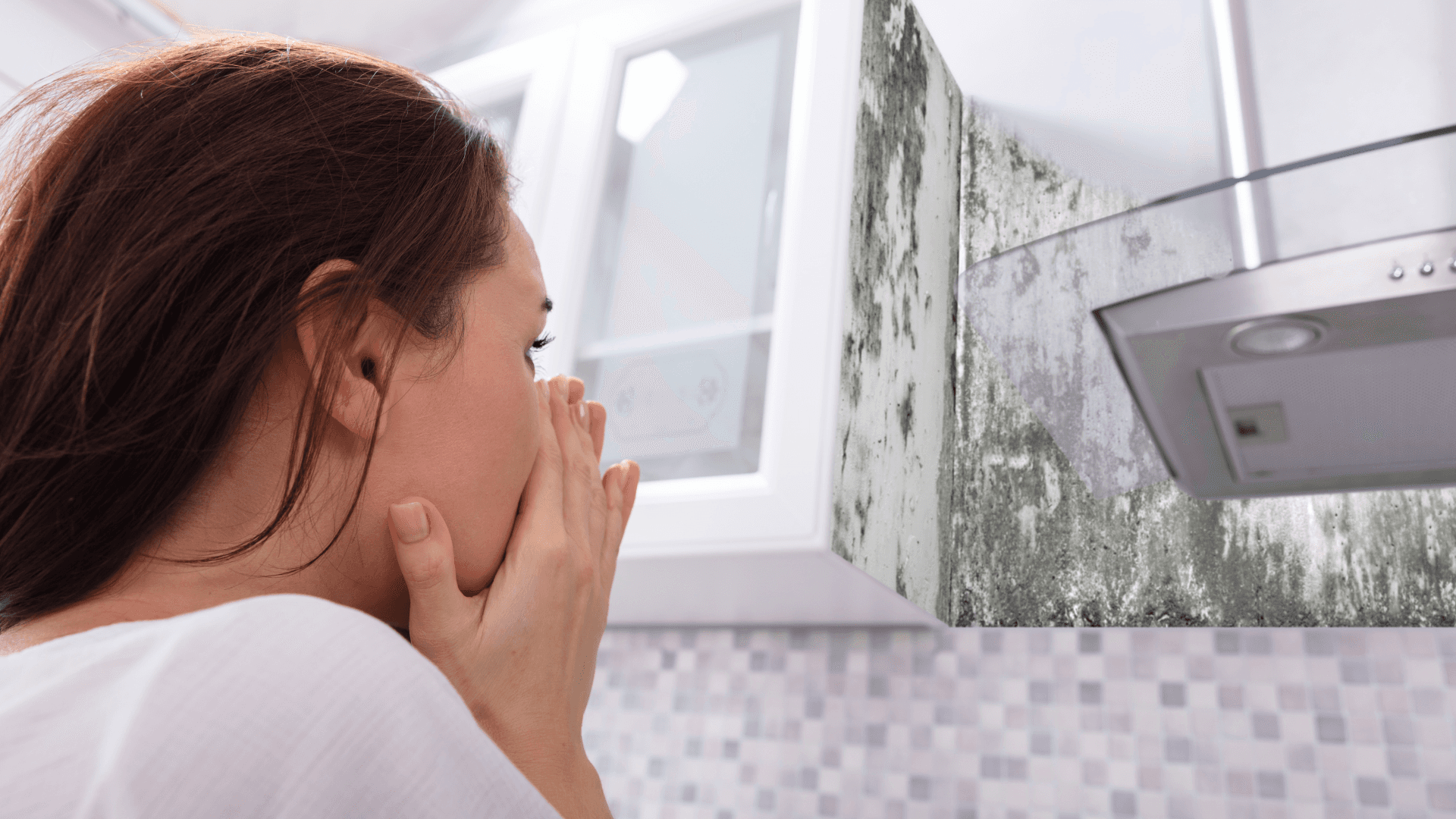 Mold Exposure Risks for Pets