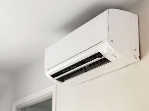 {{ custom_values.service_2 }} in {{custom_values.area_2})