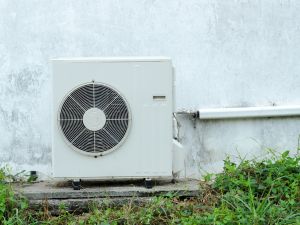 {{ custom_values.service_2 }} in {{custom_values.area_3})