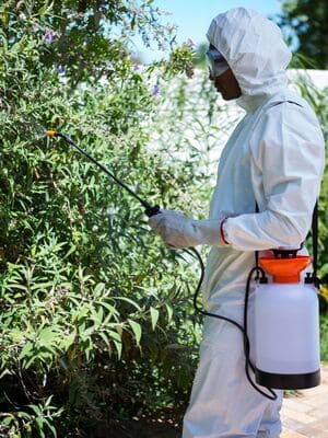 Termites in Amana, IA