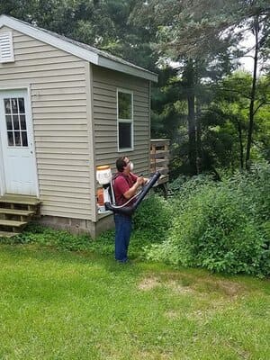 Termites in Amana, IA