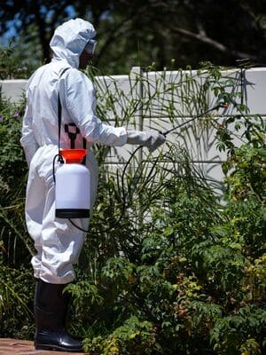 Spider in Anamosa, IA