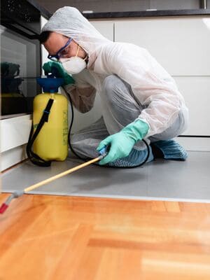 {{ custom_values.service_4 }} in {{custom_values.area_3})