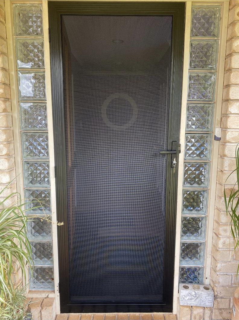 Black framed SecureView stainless steel mesh security door