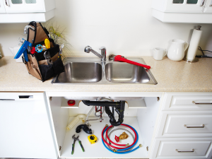 {{ custom_values.service_4 }} in {{custom_values.area_2})