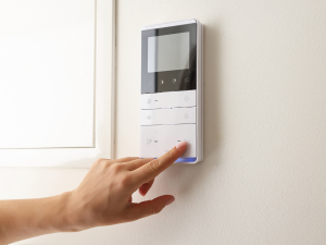 {{ custom_values.service_3 }} in {{custom_values.area_2})