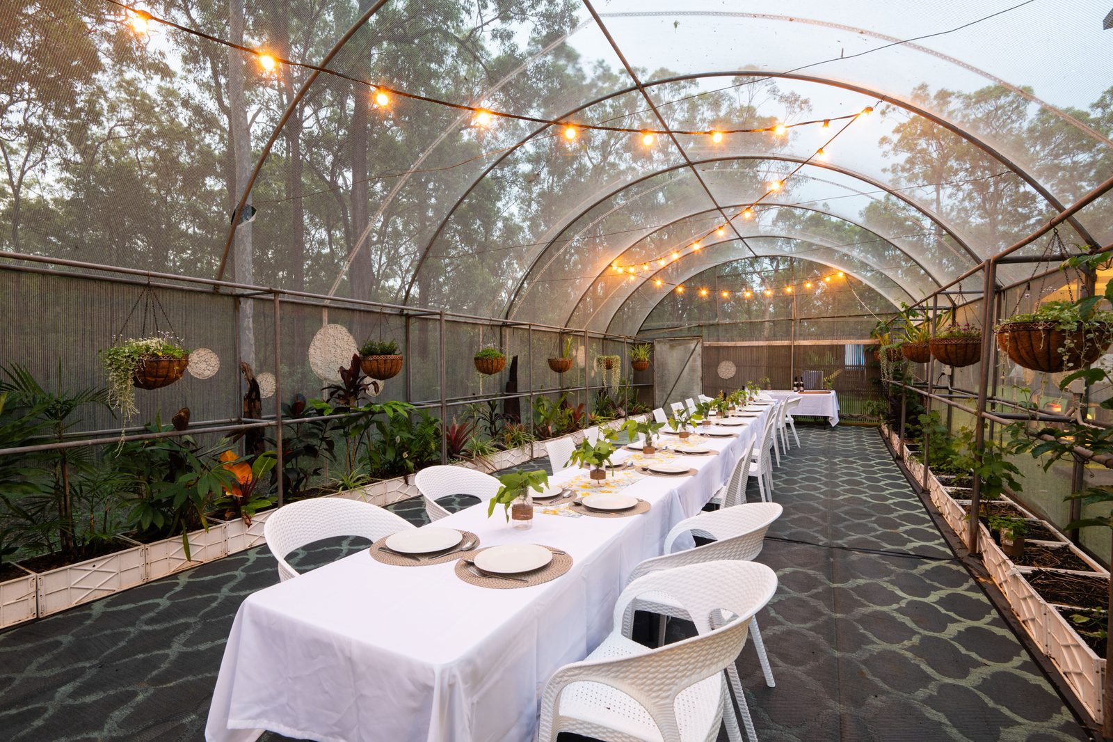 Banquet dining set for a large group among the greenery