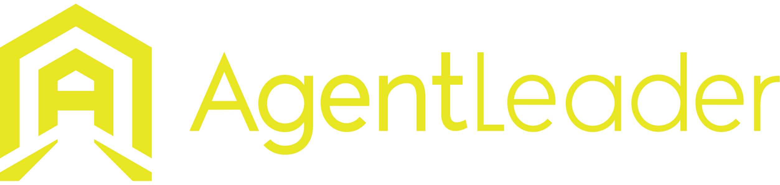 Agent Leader Coaching logo