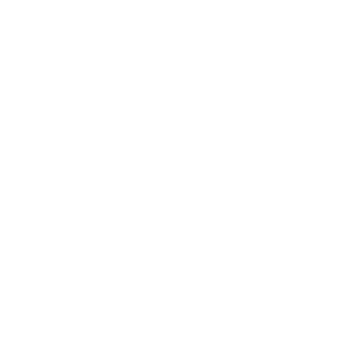 boat icon