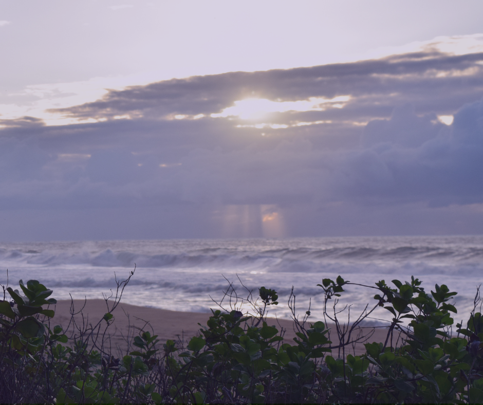 Coastal waves and greenery under soft light