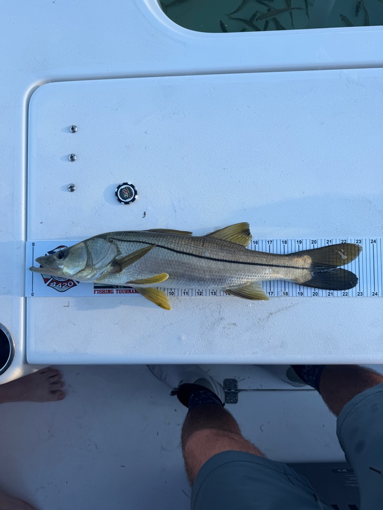 Fish entry