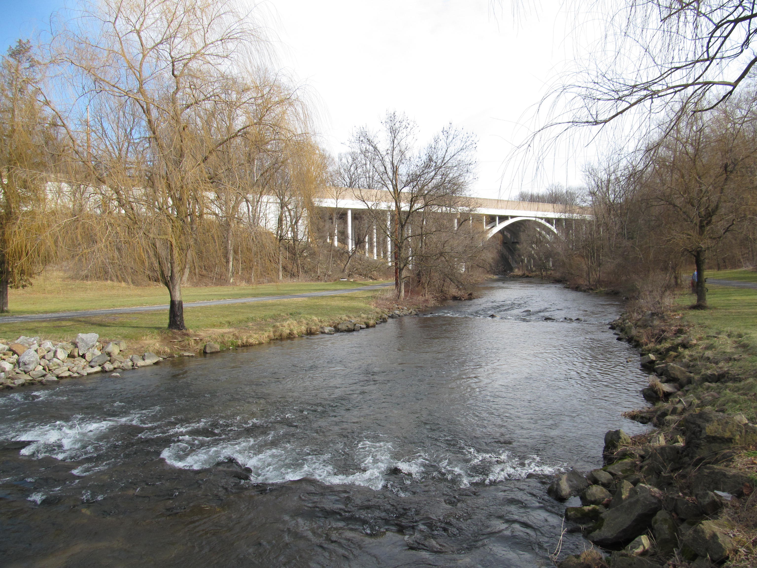 The Little Lehigh Creek flowing through Little Lehigh Park in Allentown, PA, with willow trees lining the banks