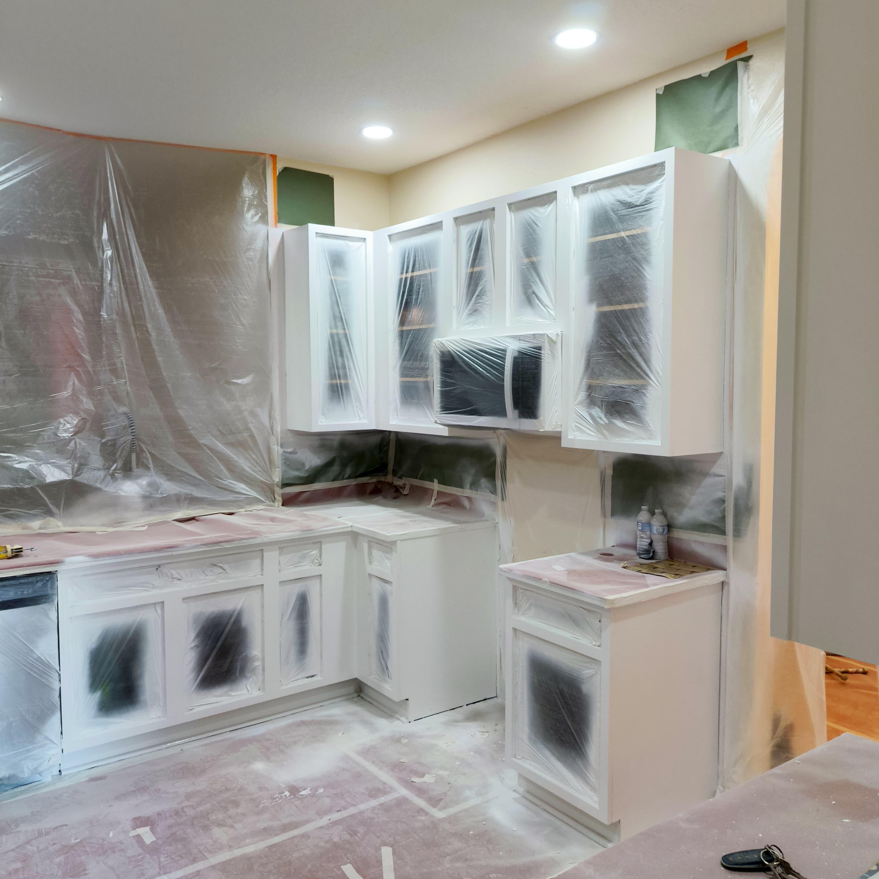 Before photo · General Hernandez Painting