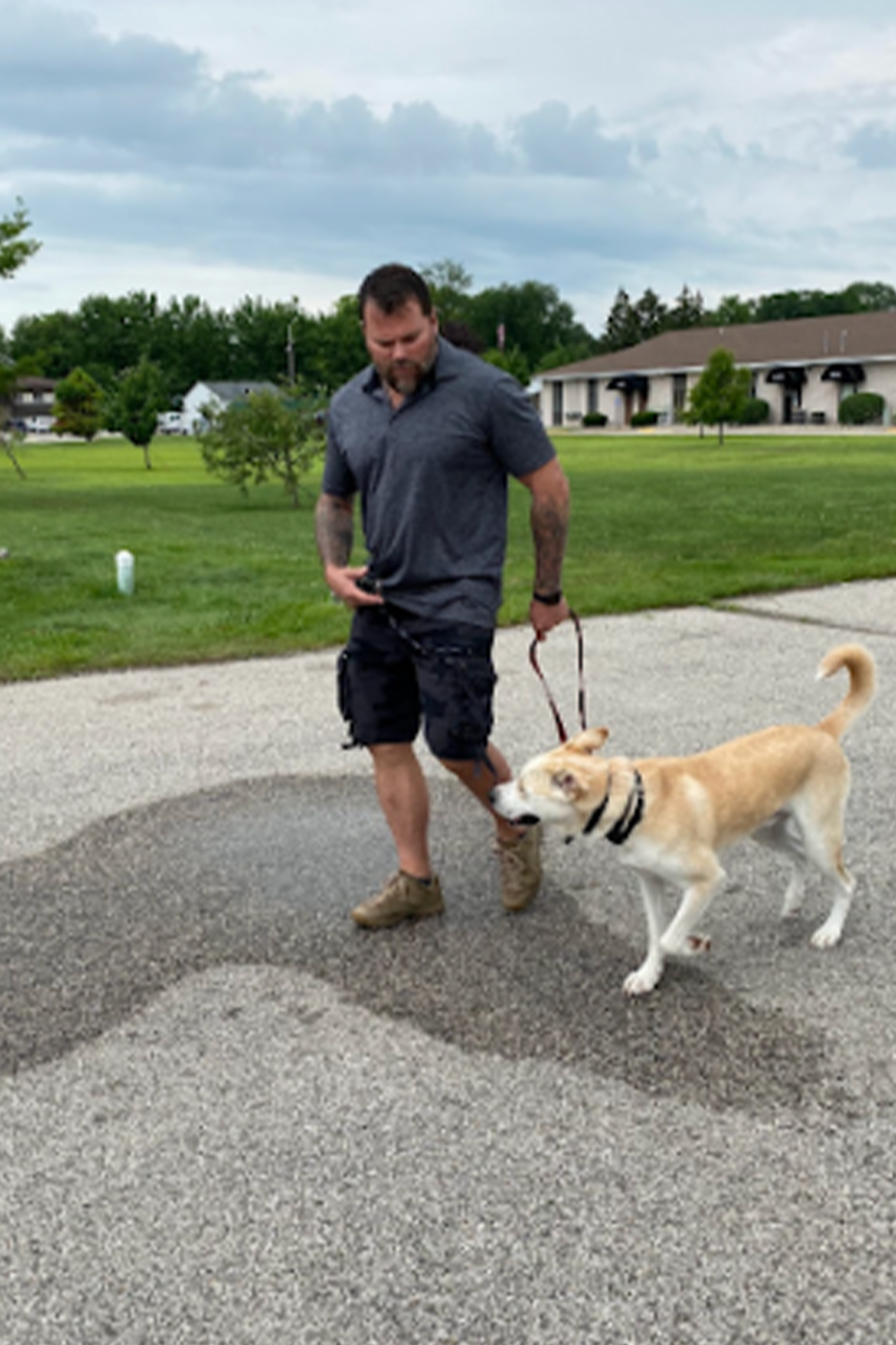 puppy-boarding