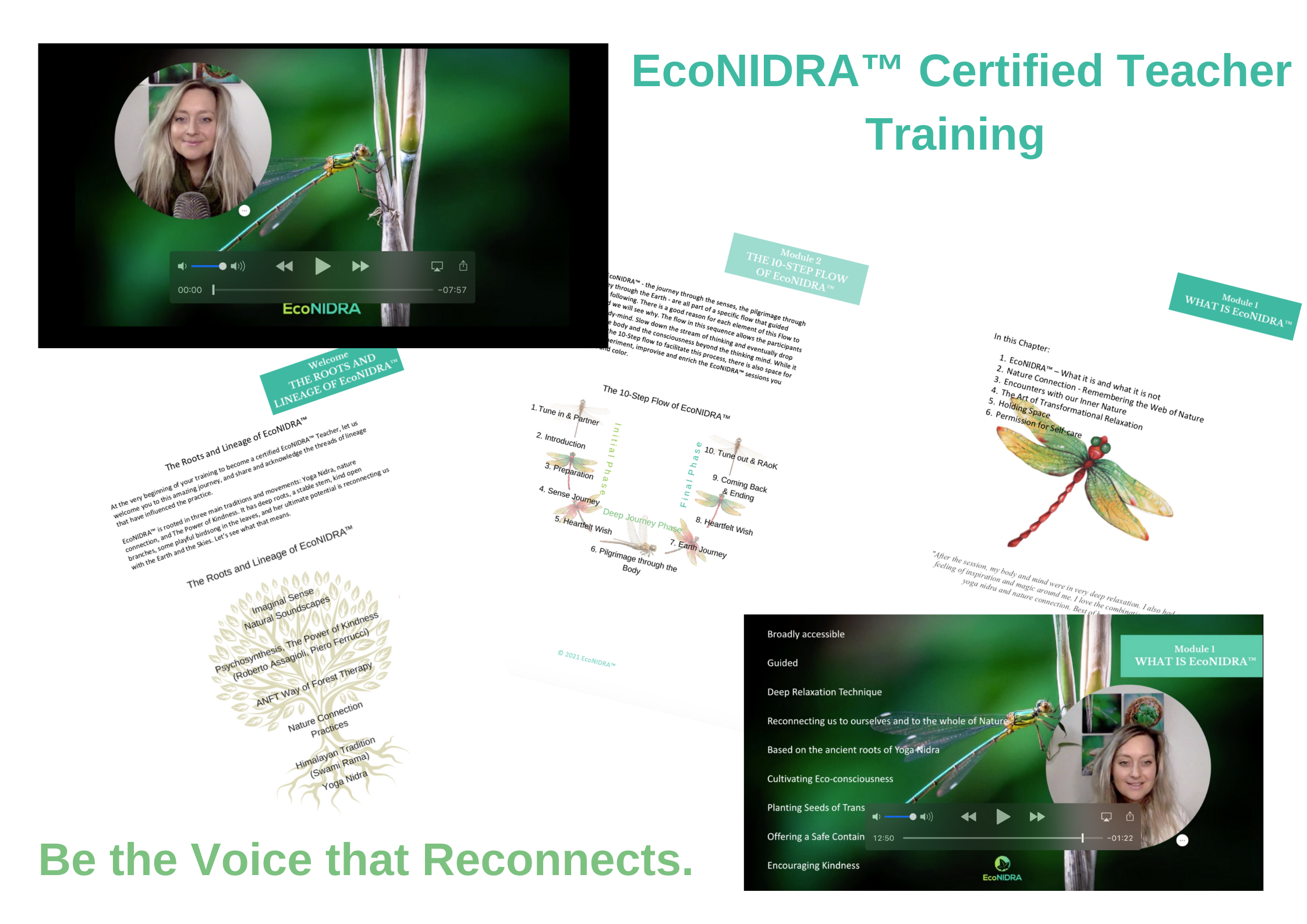 EcoNIDRA™ Training Voordeel