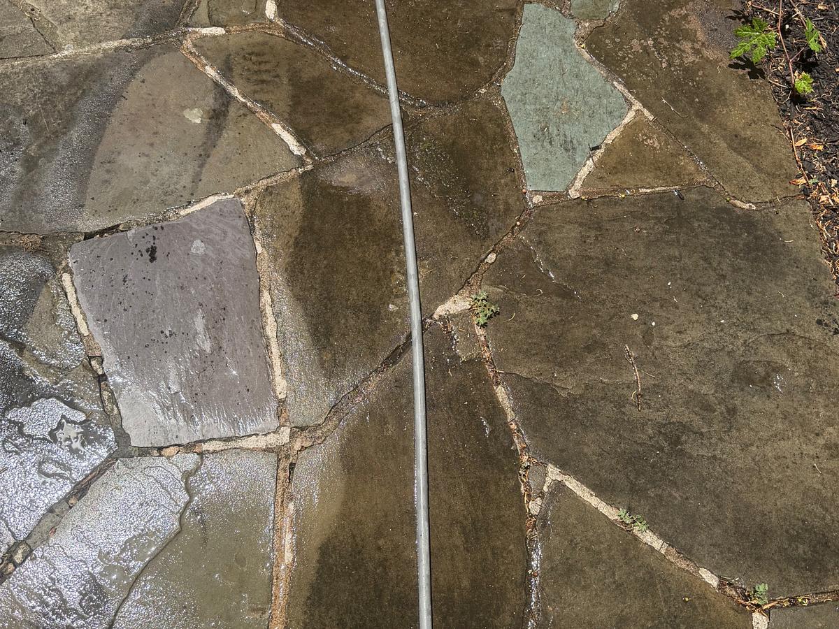 Close view of flagstone paving coated in algae and soil, the stone color barely visible
