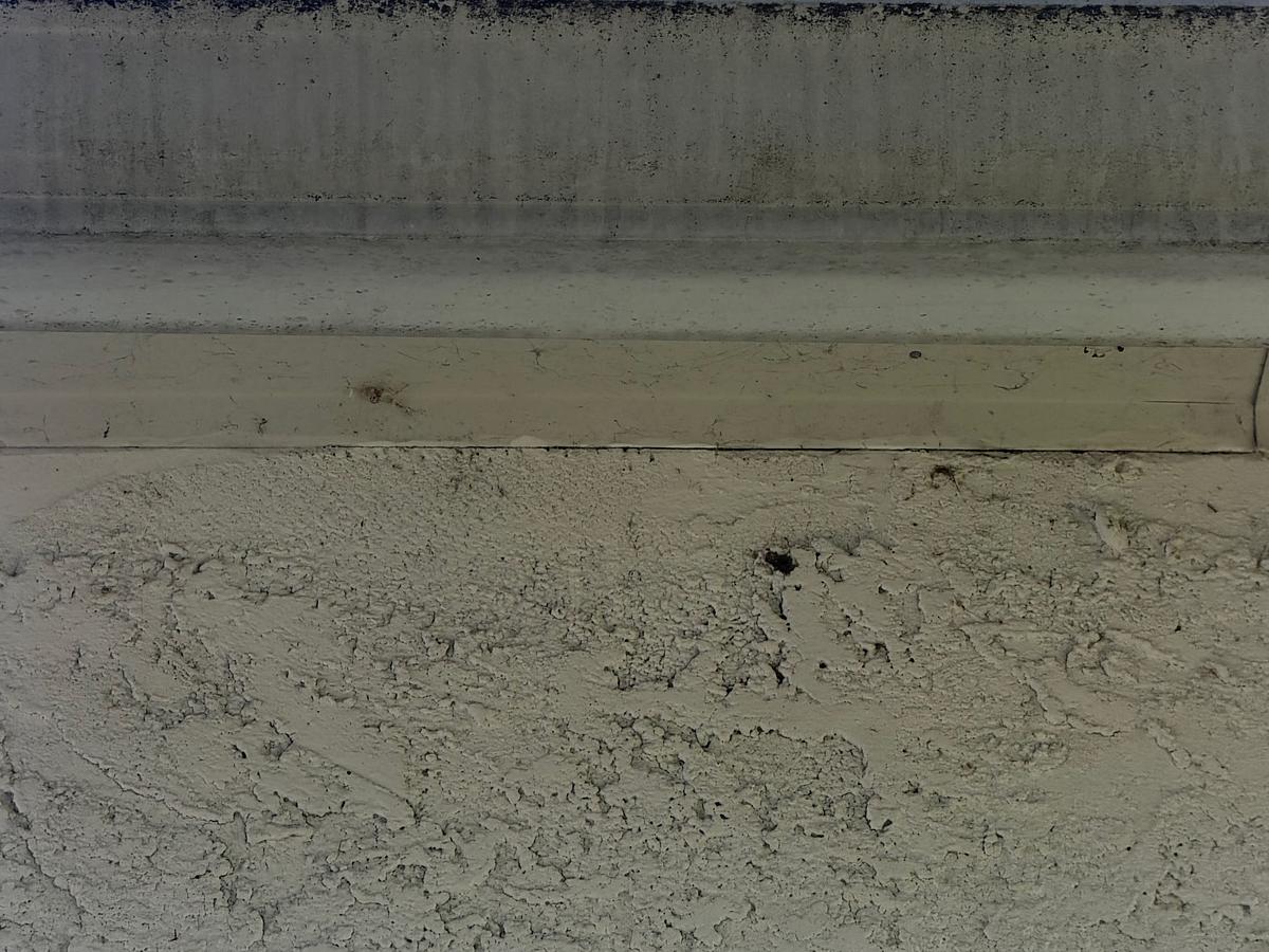 Stucco wall and painted soffit heavily soiled with black and green growth before washing