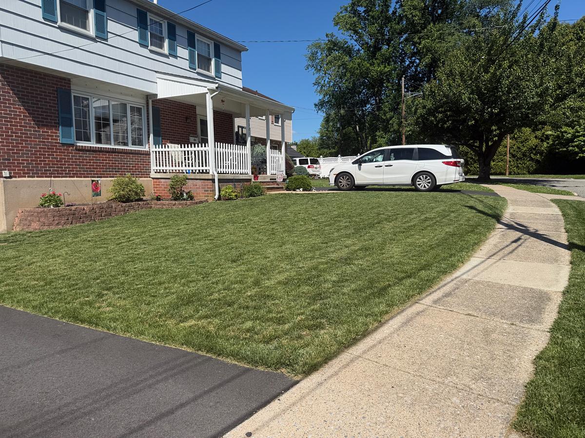 Curved concrete front walkway in Havertown, PA before washing, gray and darkened down the center