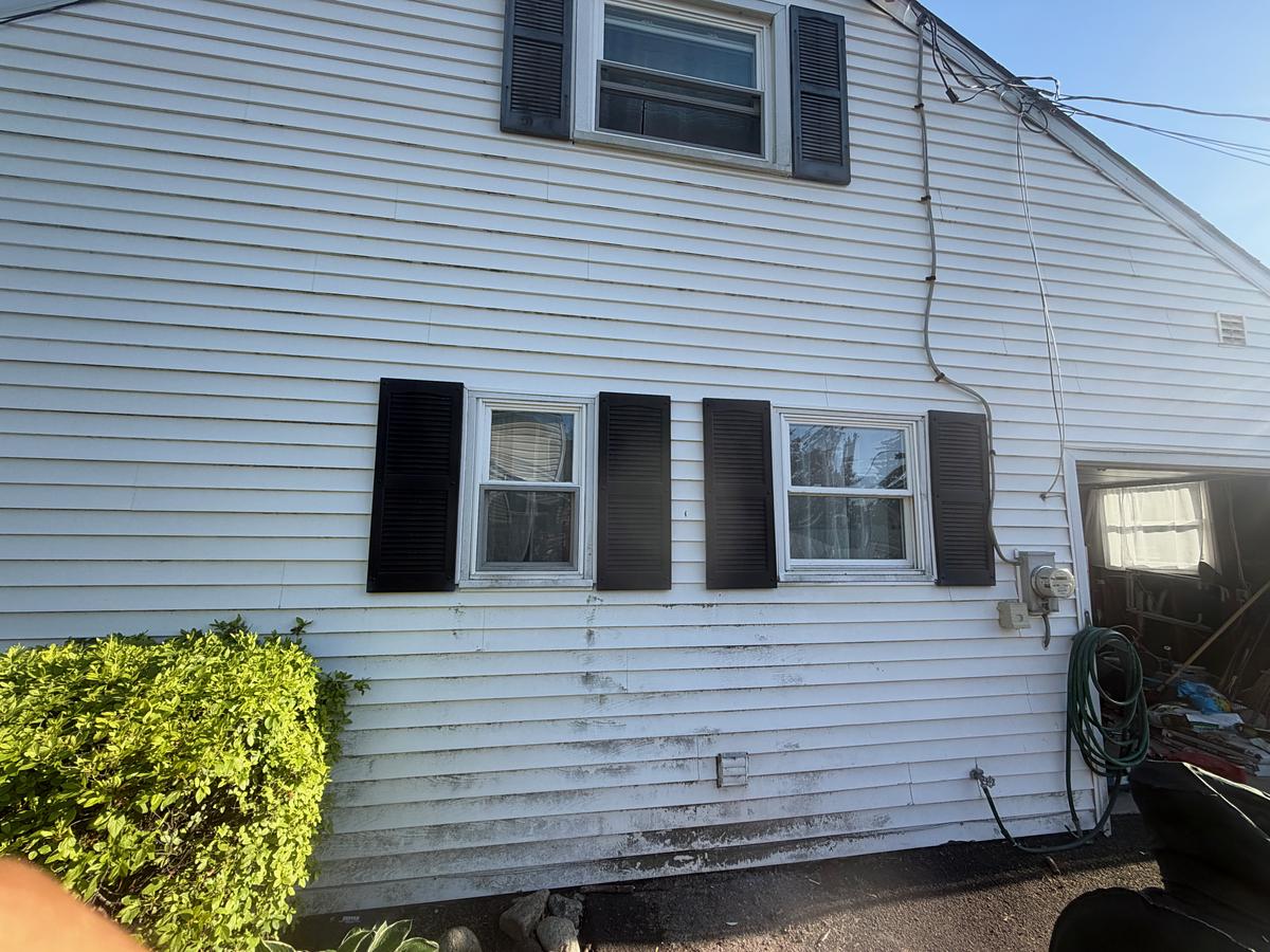 White vinyl siding streaked with green algae and gray mildew before soft washing