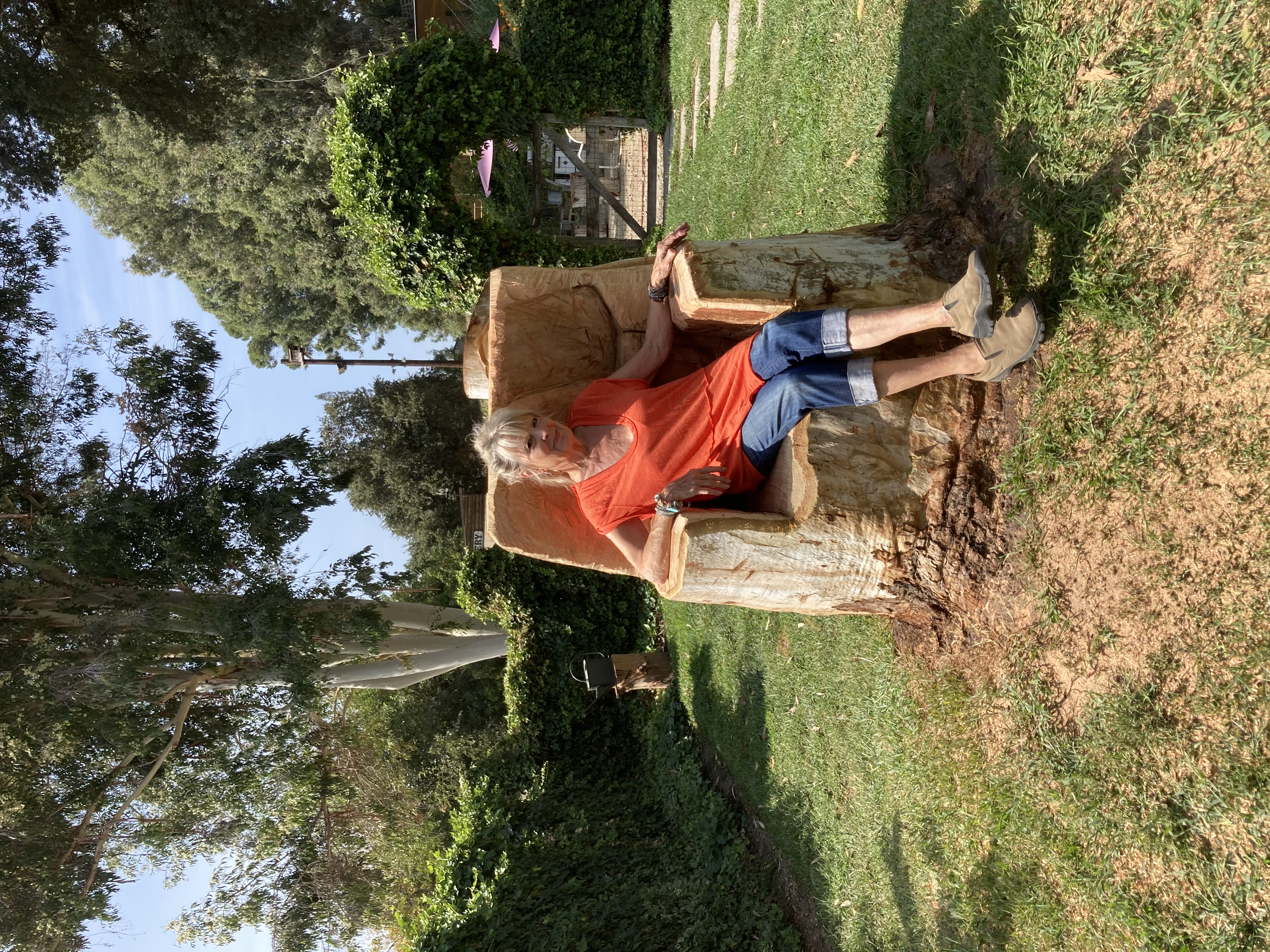 Stump Grinding