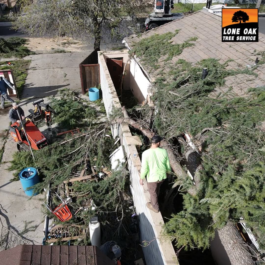 Storm damage and emergency tree service