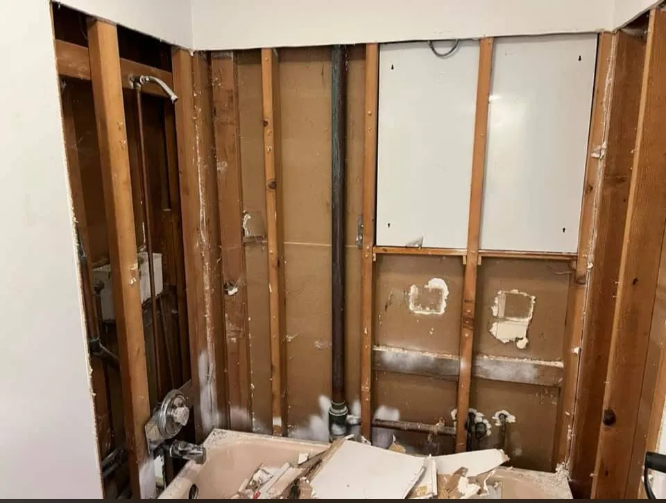 Bathroom remodel