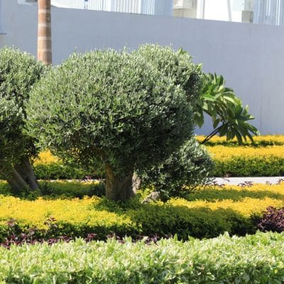  in Johnson County, IA