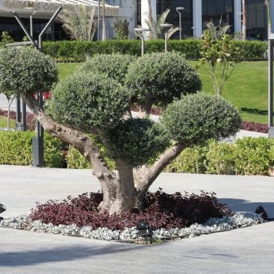  in Washington County, IA