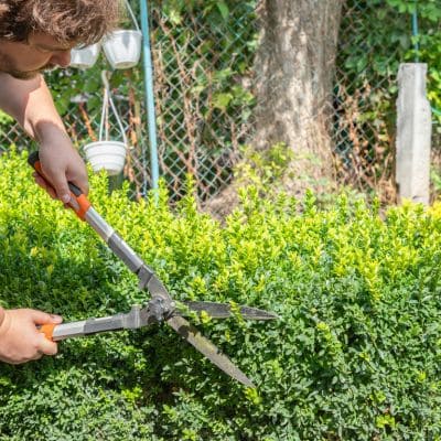 {{ custom_values.service_4 }} in {{custom_values.area_3})