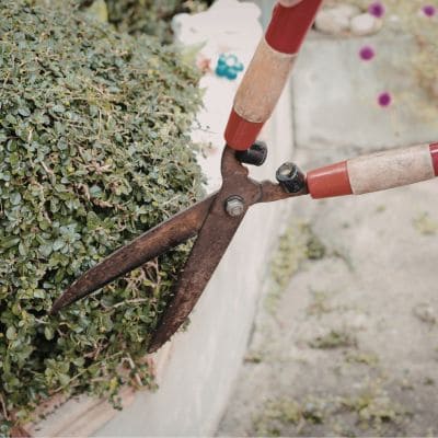  in Johnson County, IA