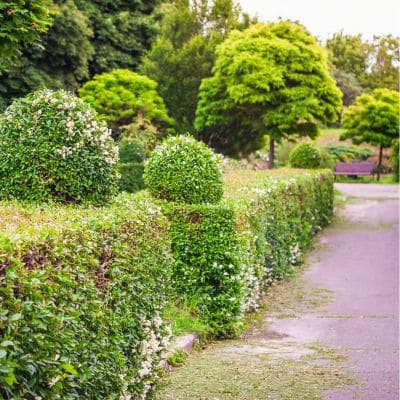  in Johnson County, IA