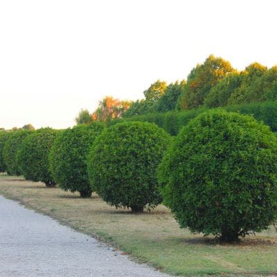  in Washington County, IA