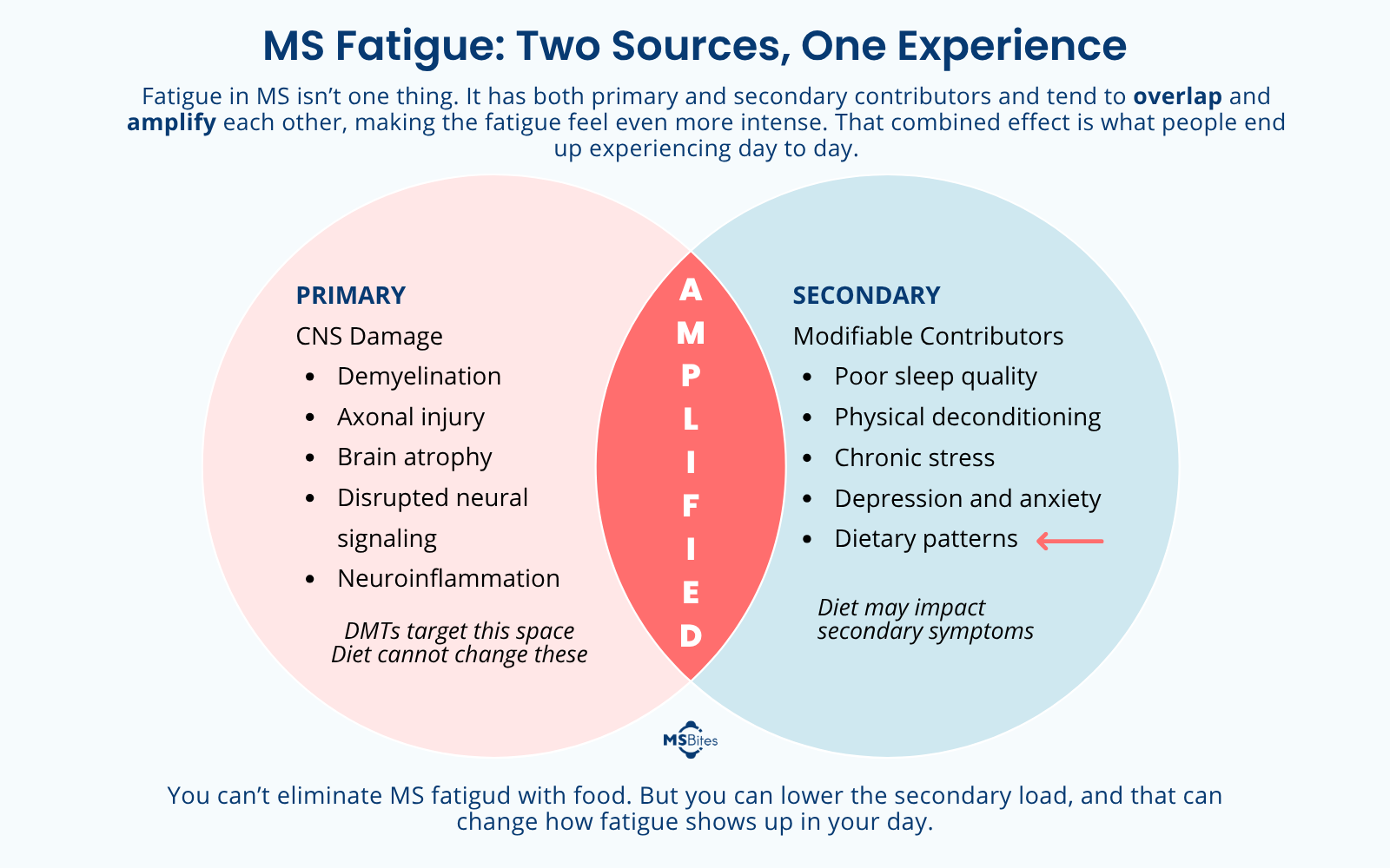 MS fatigue has both primary and secondary components — diet targets the secondary contributors