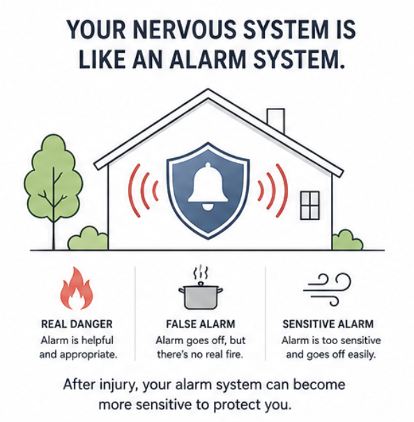 Infographic comparing the nervous system to a home alarm system, showing how pain protects the body but can become overly sensitive after injury or prolonged pain. Infographic comparing the nervous system to a home alarm system, showing how pain protects the body but can become overly sensitive after injury or prolonged pain.