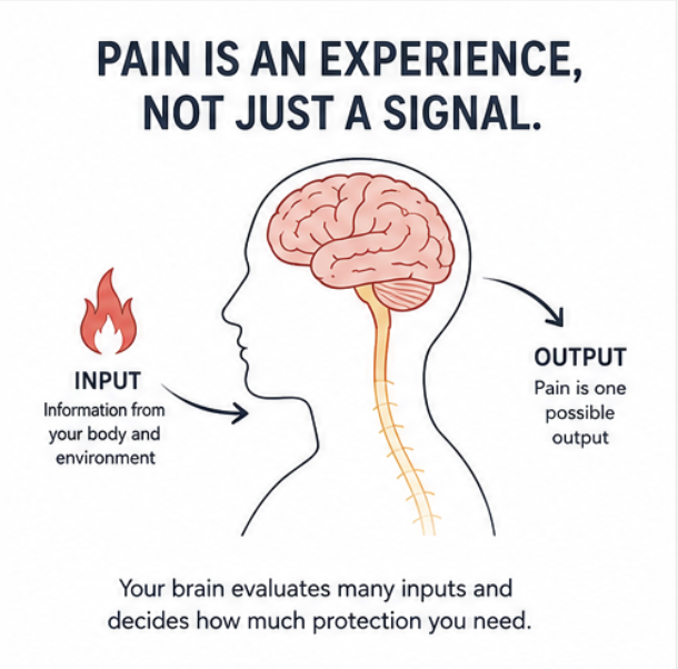 Diagram illustrating that pain is an experience created by the brain after processing information from the body and environment, rather than a direct signal of tissue damage. Diagram illustrating that pain is an experience created by the brain after processing information from the body and environment, rather than a direct signal of tissue damage.