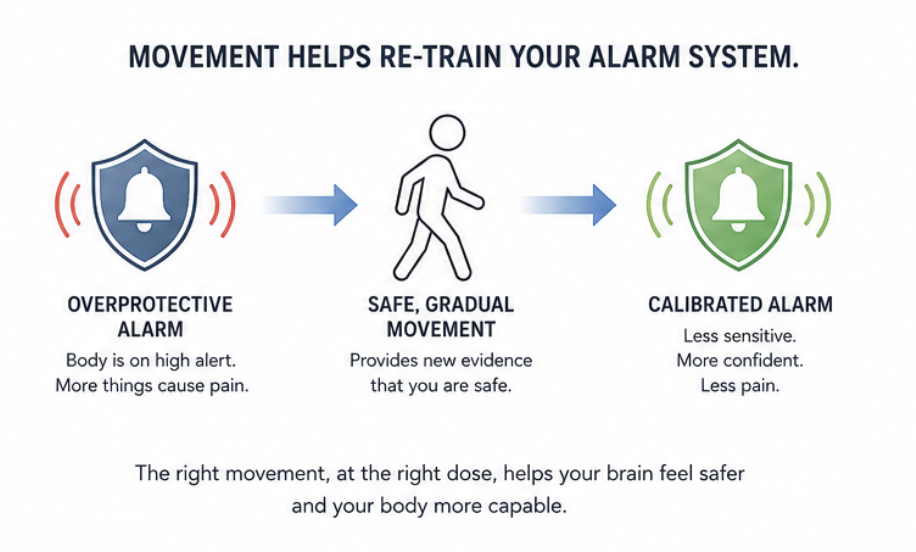 Illustration showing how safe, gradual movement helps calm an overprotective nervous system, improve confidence, and reduce pain through progressive rehabilitation. Illustration showing how safe, gradual movement helps calm an overprotective nervous system, improve confidence, and reduce pain through progressive rehabilitation.