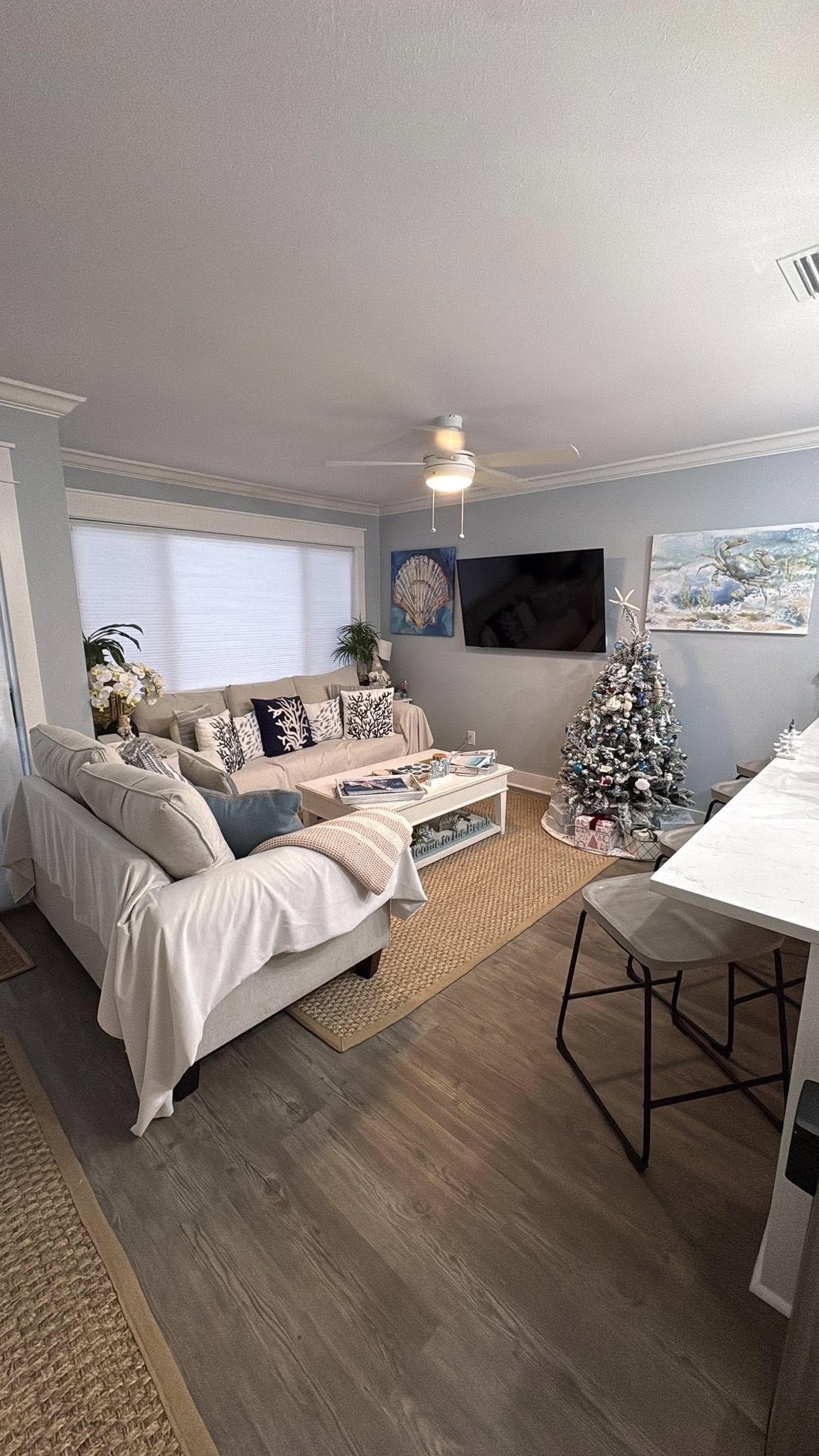 Residential Cleaning Florida