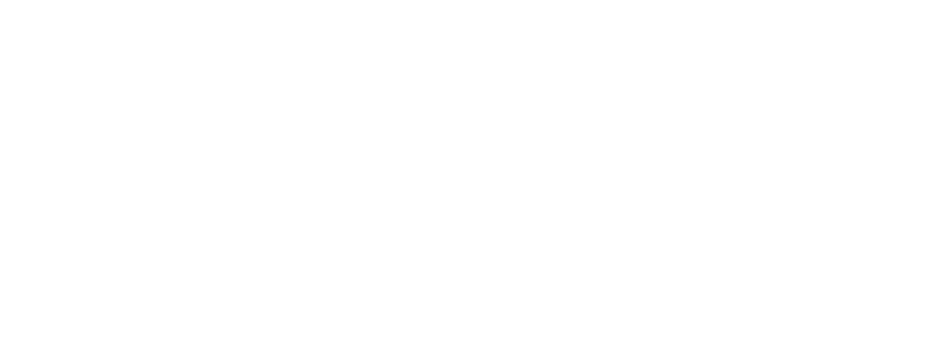 Franchise Wizards