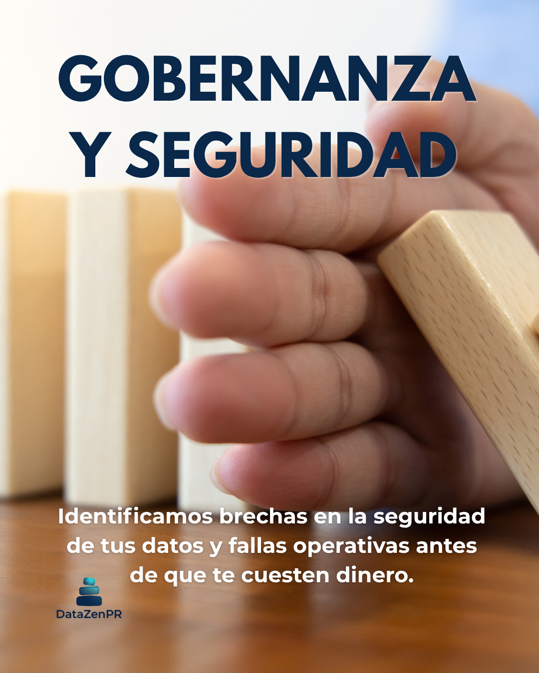 Gobernanza y Seguridad