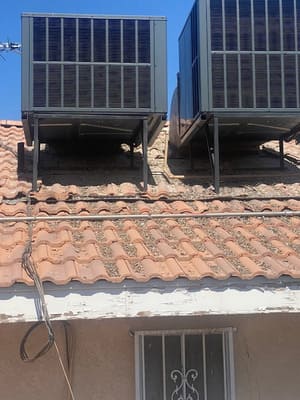 Bird proofing in Las Vegas