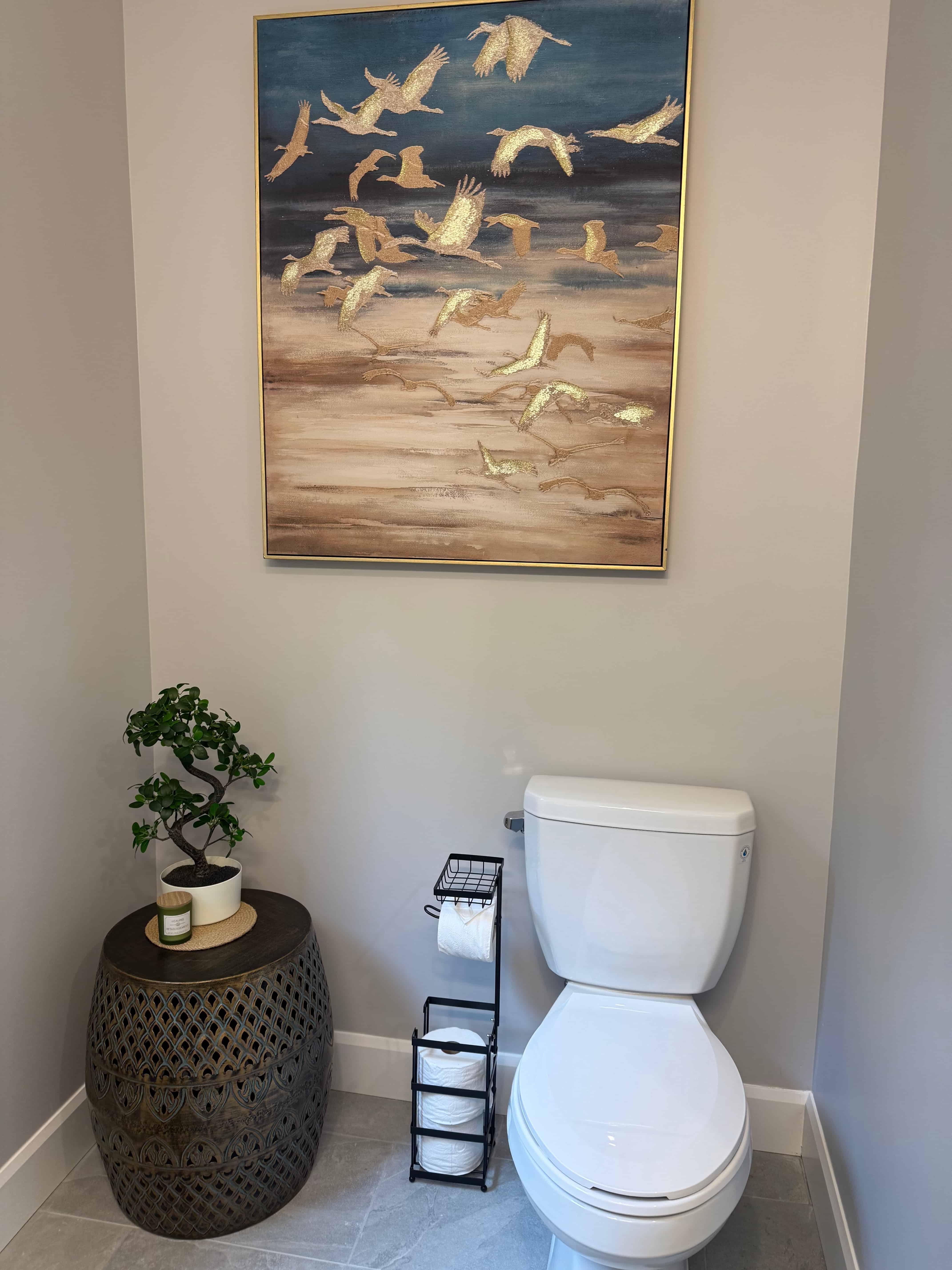 Bathroom renovation Ottawa