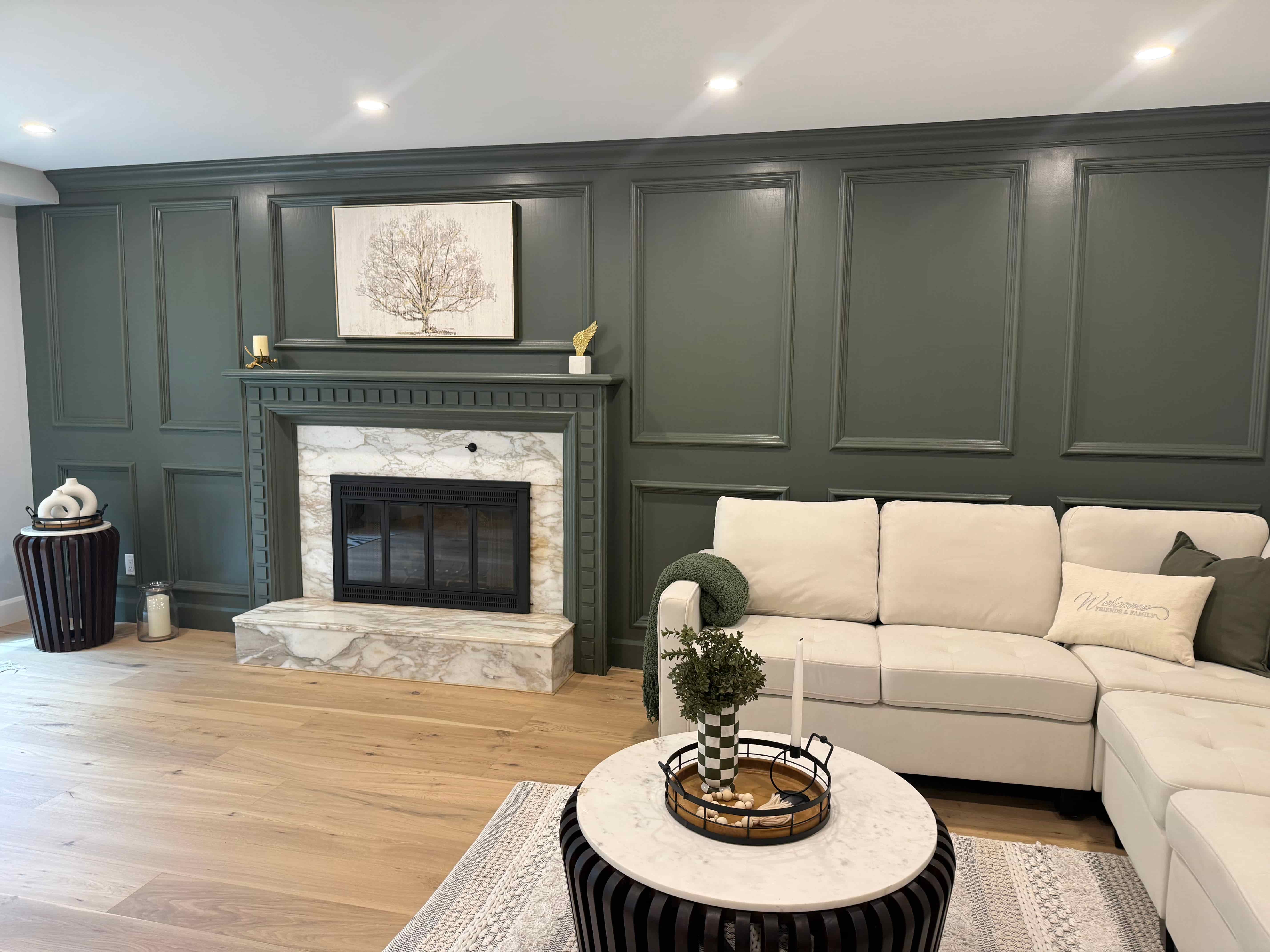 Living room renovation Ottawa