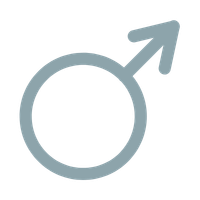 A importância do sistema genital masculino