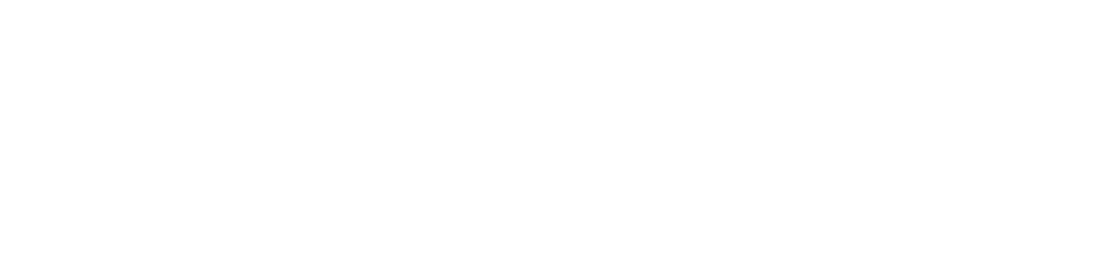 NISSIN Logo