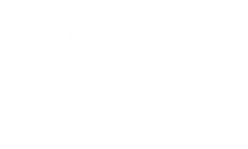 Accurate Arms