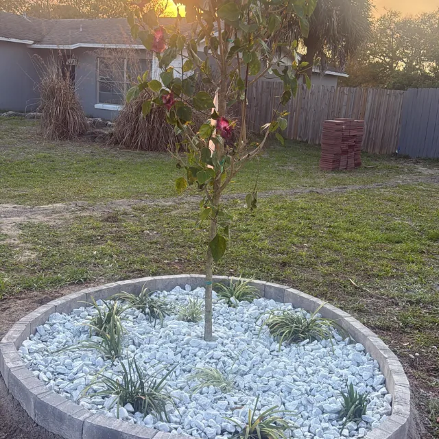 Portfolio image 21