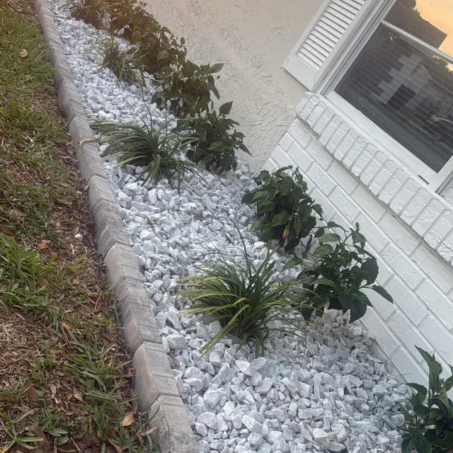 Portfolio image 23